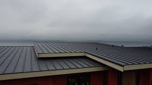 Best Roof Installation  in Plainview, TN